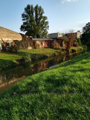 Svitava